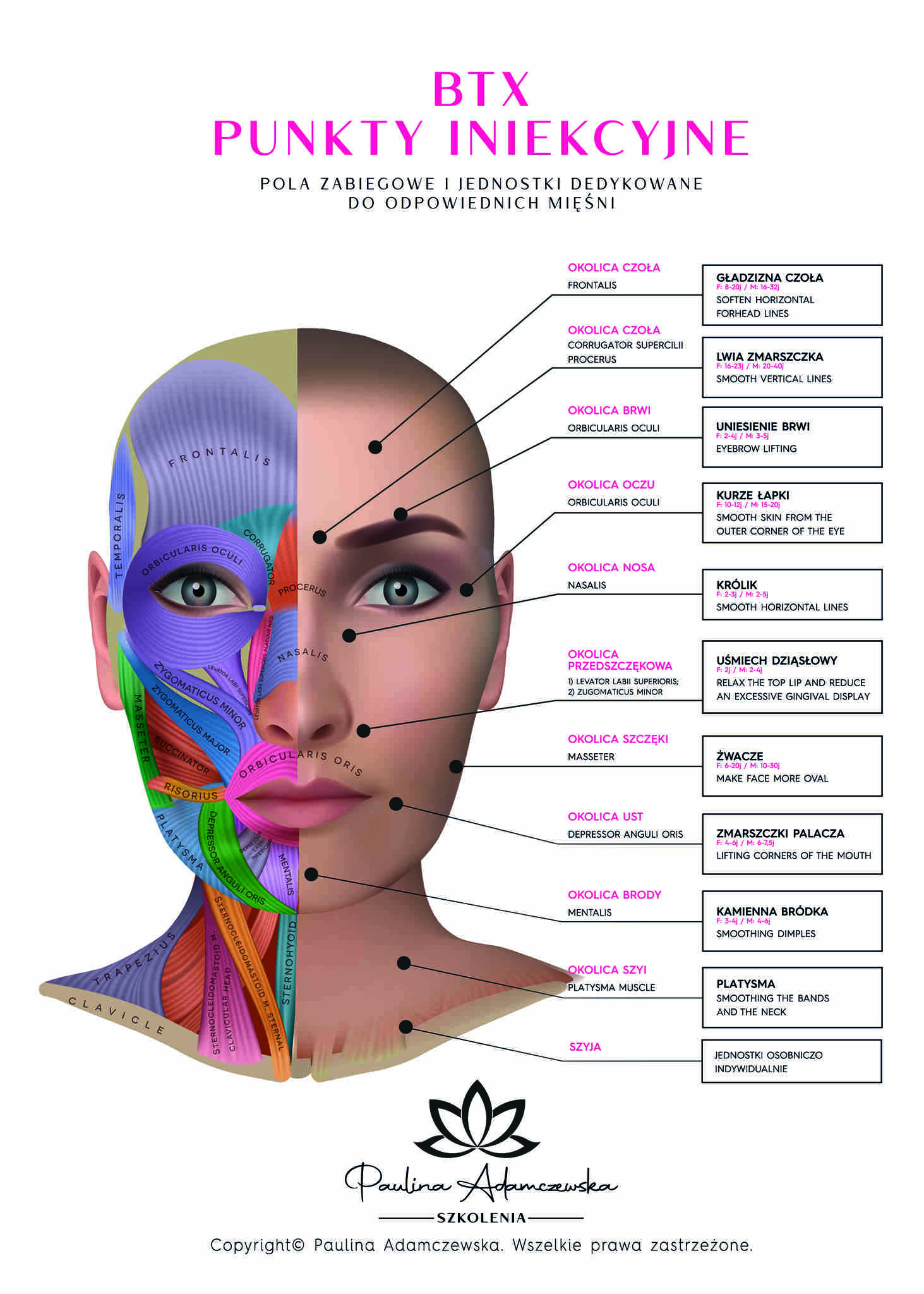 50X70-BTXPLAKAT1_Easy-Resize.com