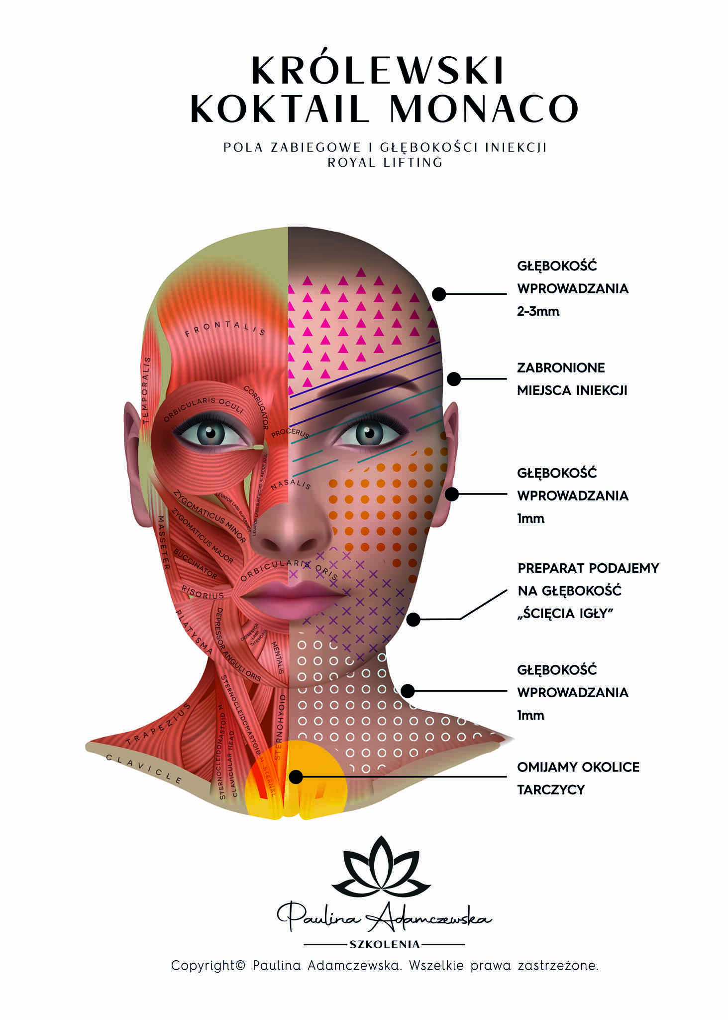 50X70-MONACOPLAKAT1_Easy-Resize.com